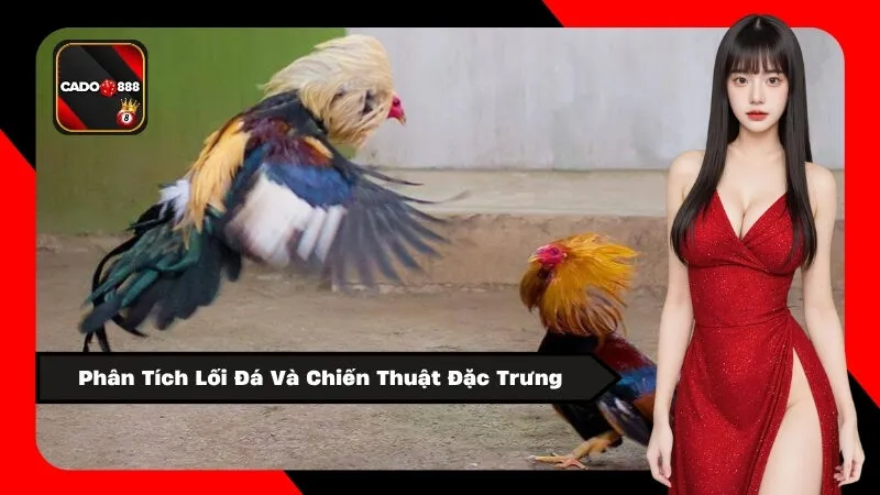 Phân Tích Lối Đá Và Chiến Thuật Đặc Trưng