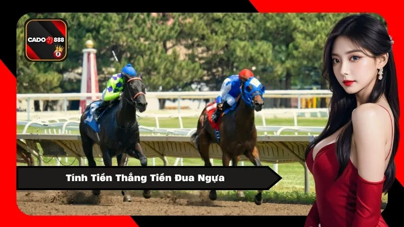 Tính Tiền Thắng Tiền Đua Ngựa